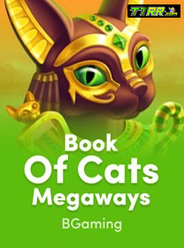 ttrr.com participe de profissional jogo